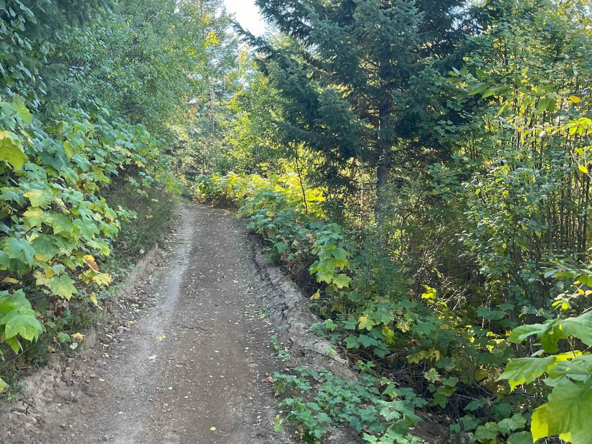 USFS 8234 Mid-Section photo 4