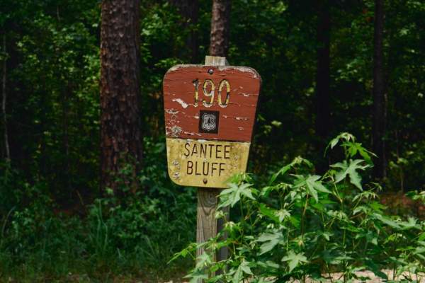 Santee Bluff - FSR 150