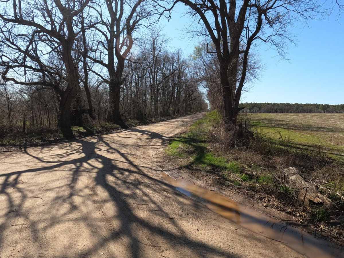 Scott County Road 405 photo 2