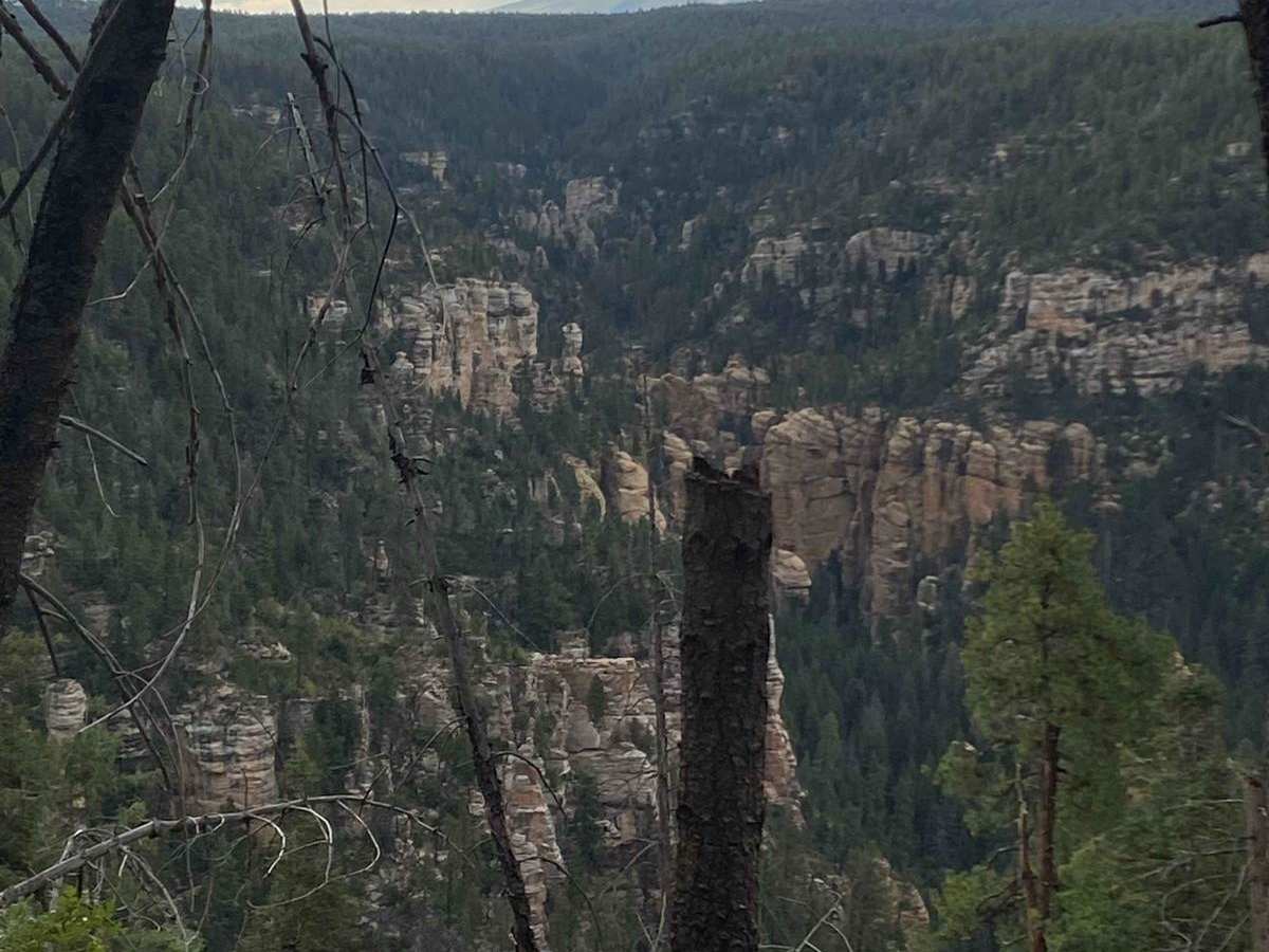 West Buzzard Ridge photo 5