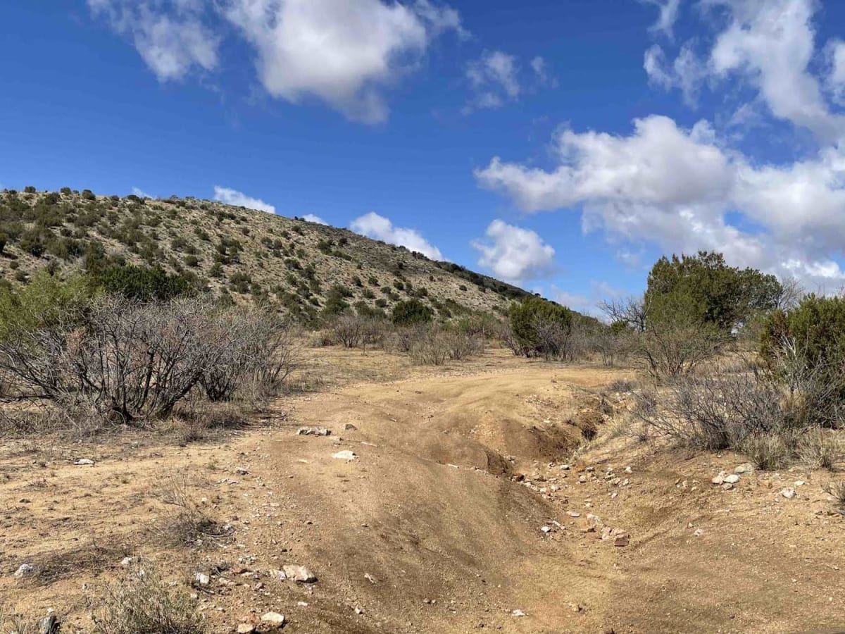 Park Tank Road #4424 photo 6