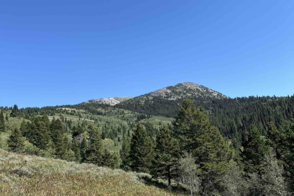 Willow Creek to Caribou Mountain  FS#50018