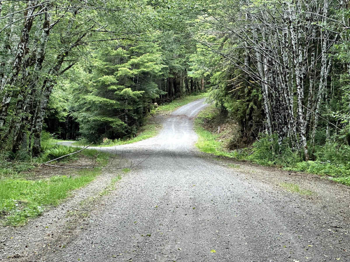 Horse Camp Trail photo 3