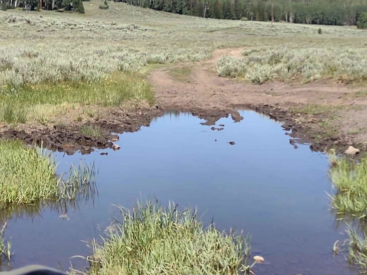 Wapiti Trail photo 3