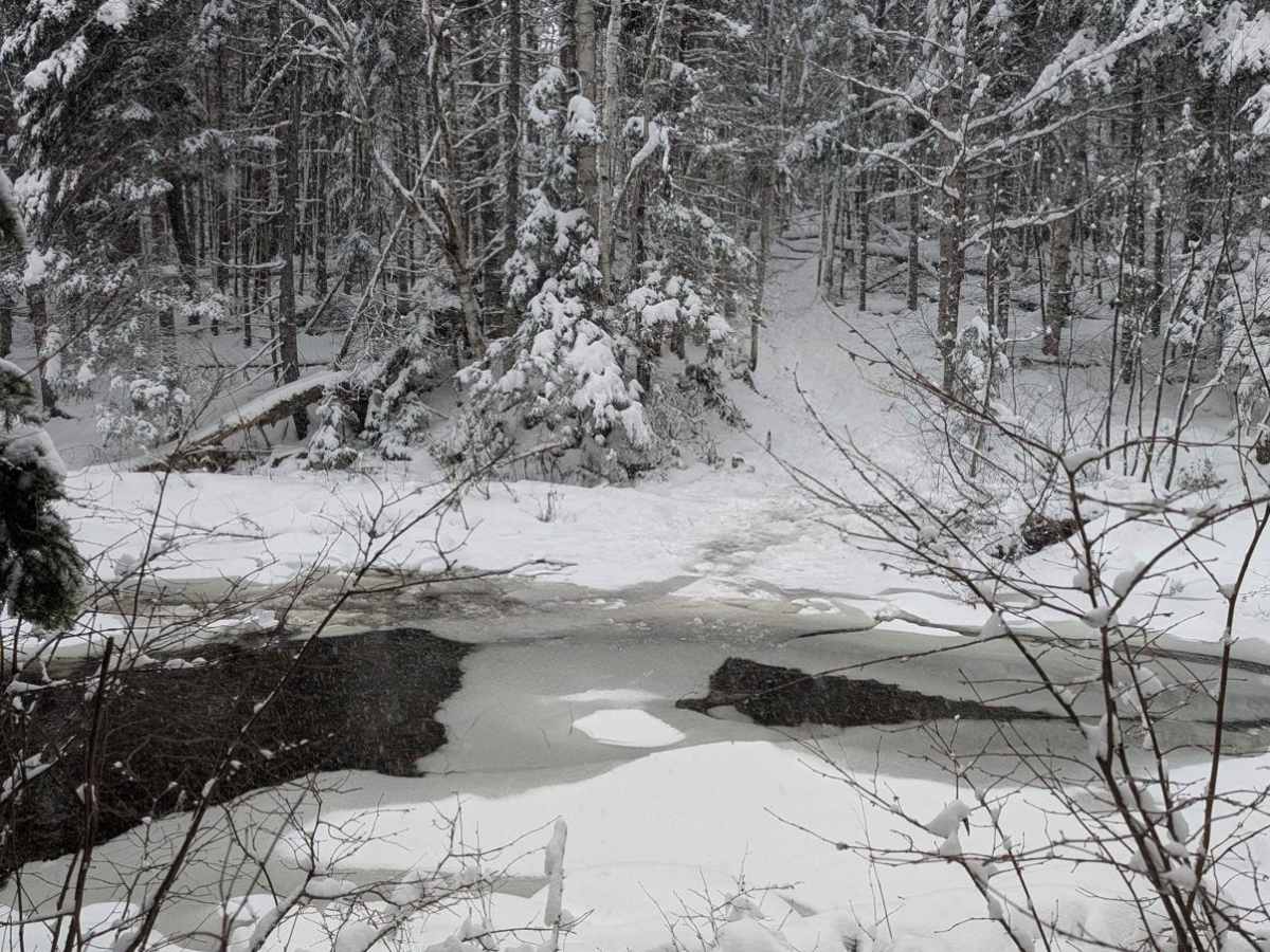 River Crossing Spur photo 3