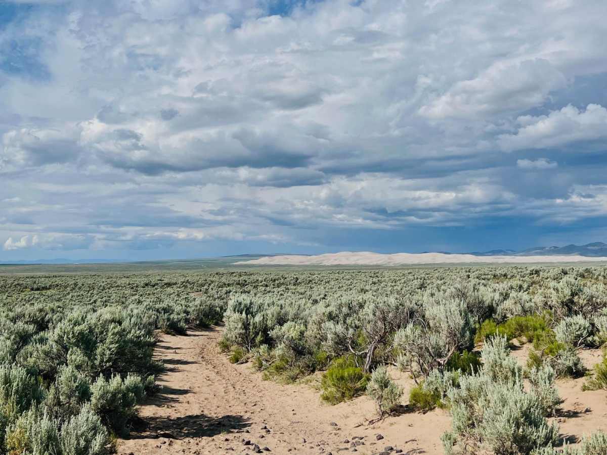 A Mile and a Half Road trail photo