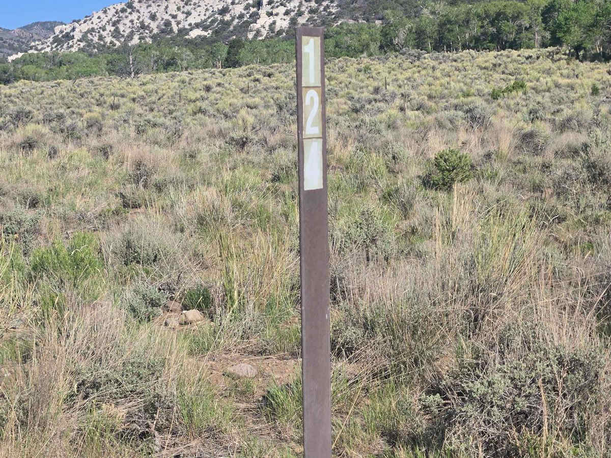 Prospector Trail photo 5