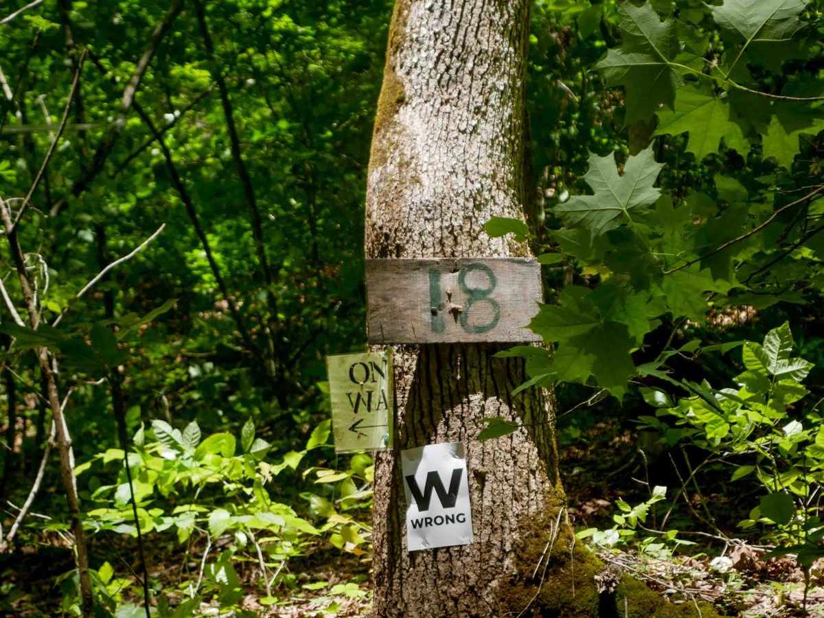 Trail 18 Crossover Section photo 2