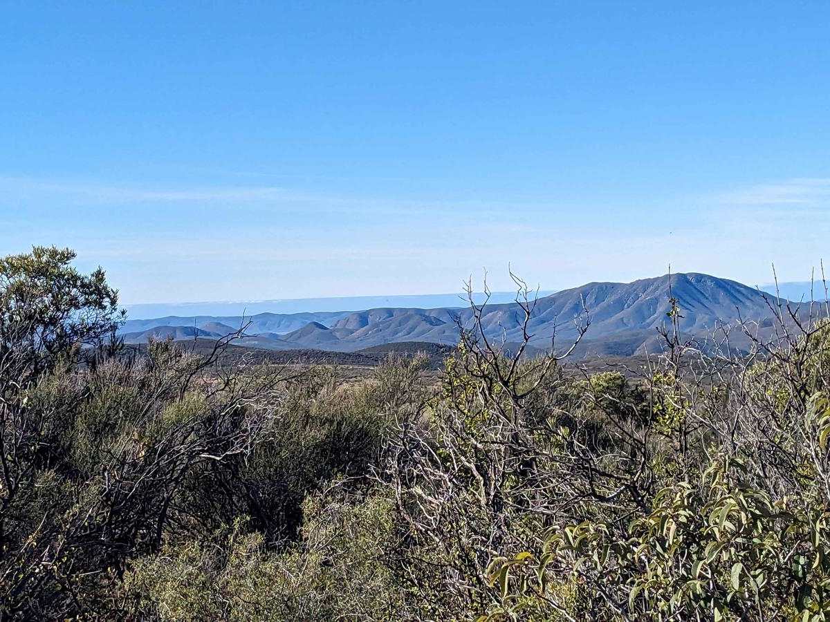 The Holy Grail from Punta Colonet to El Coyote Ranch photo 5