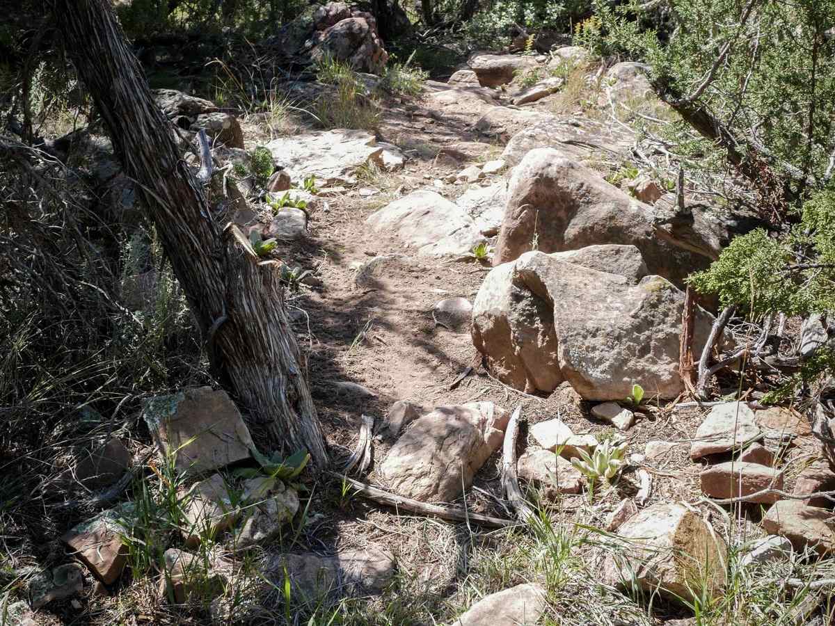 Warmup Trail photo 4