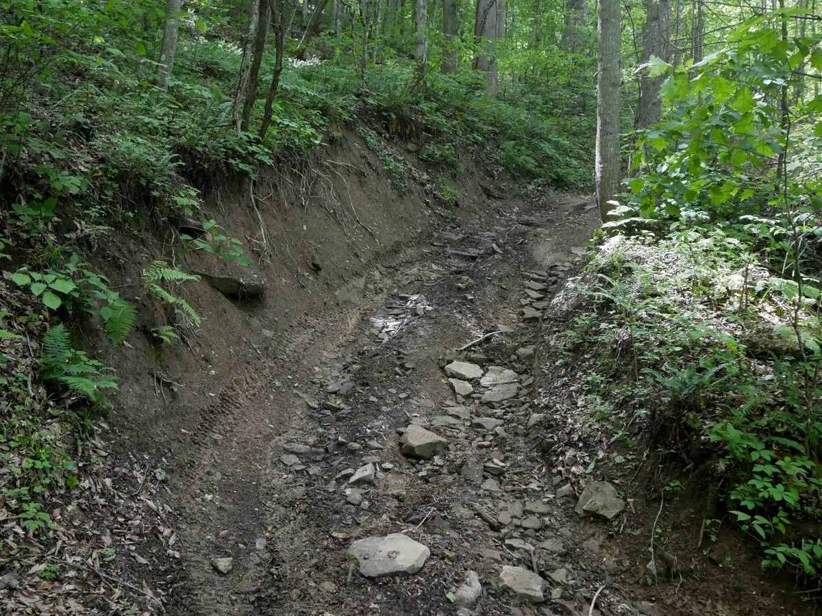 MV26 trail photo