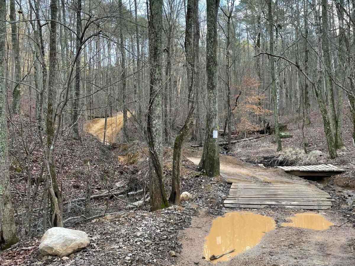 16 trail photo