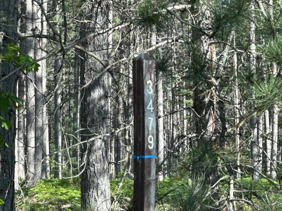 FS 3479 trail photo