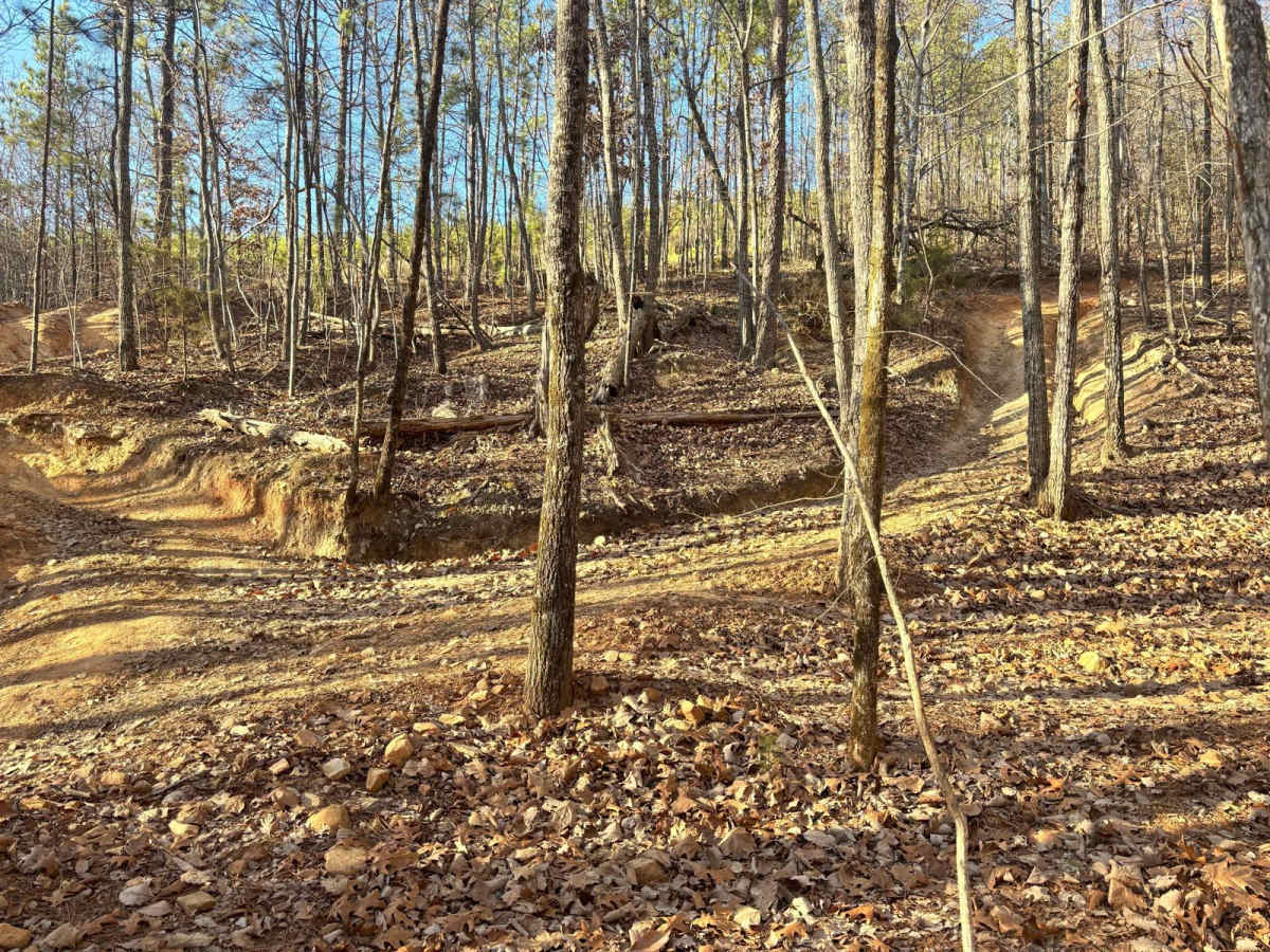 21 photo 2