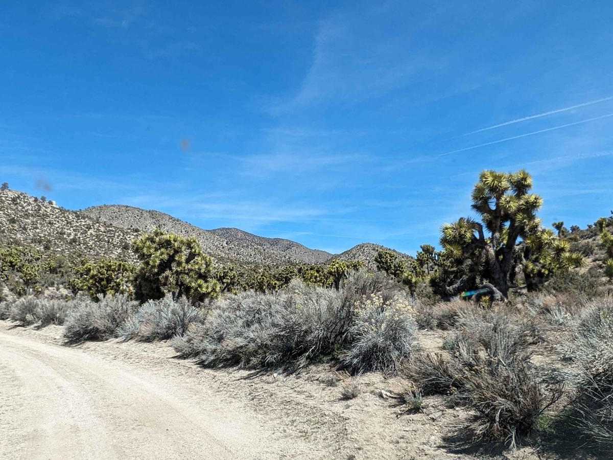 Willow Creek Road to Pigeon Springs photo 3