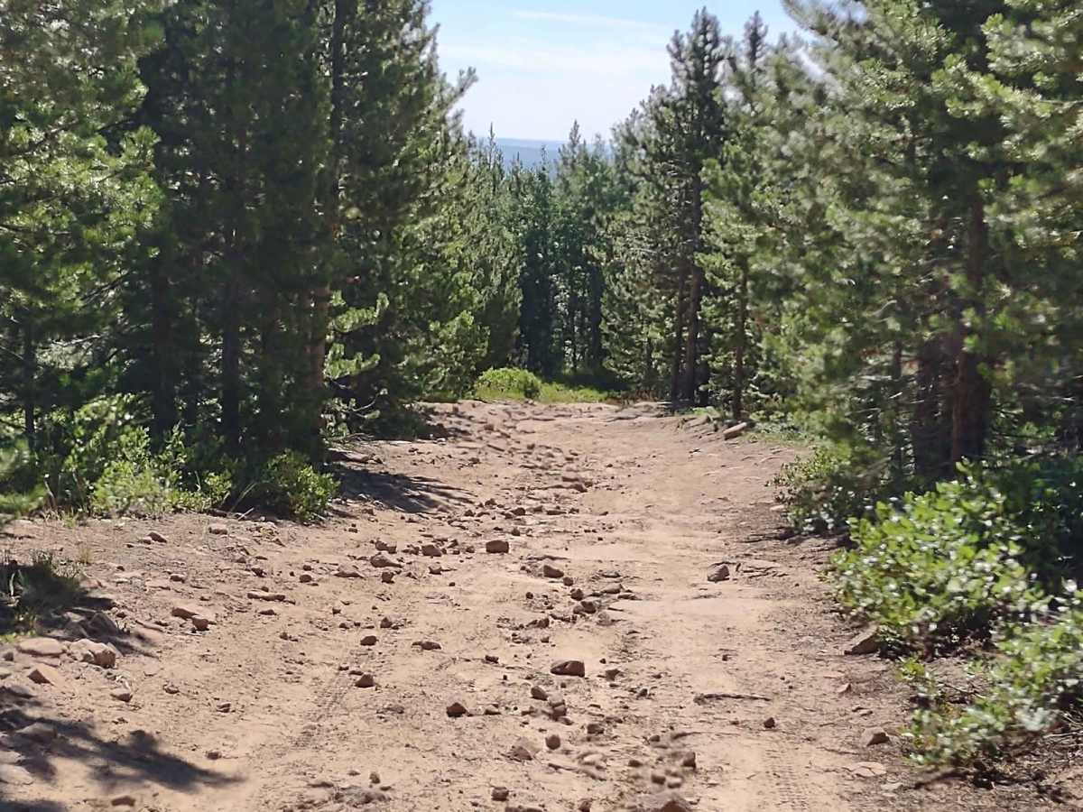 Beaver Creek 4WD (FS 366) photo 5