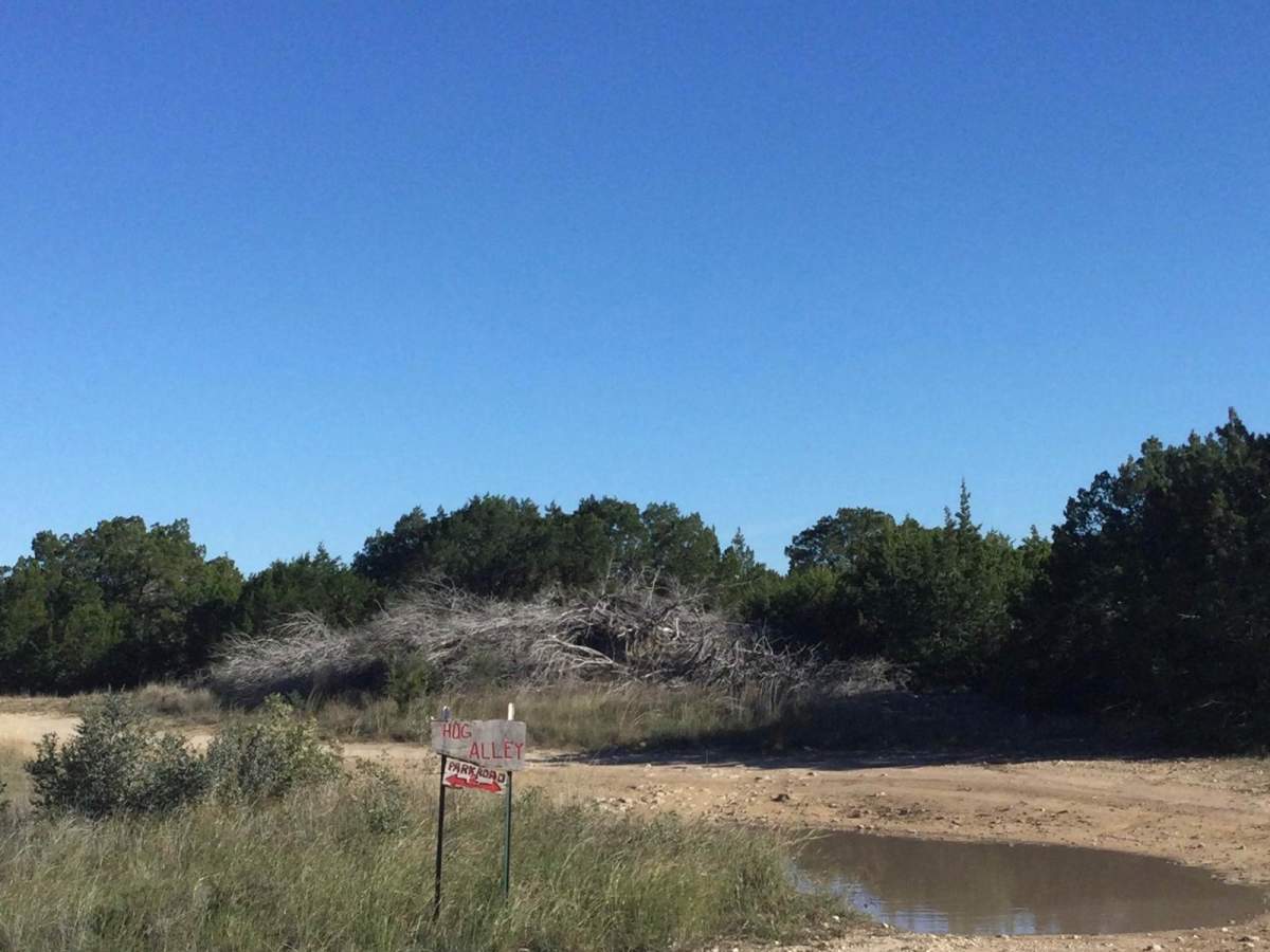 Hog Alley trail photo