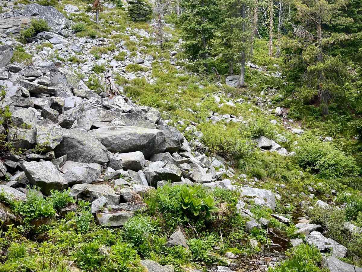 Divide NRT (Ditch Creek to Twin Creek Ridge) photo 3