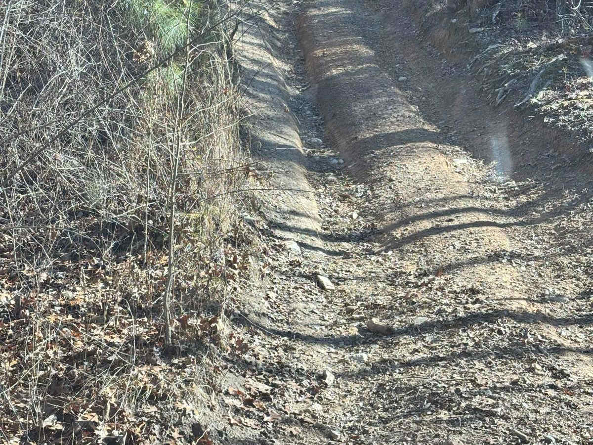 56A trail photo