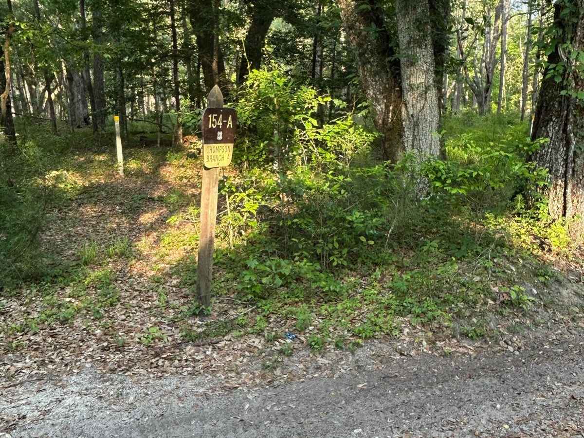 Thompson Branch Road - FSR 154A photo 2