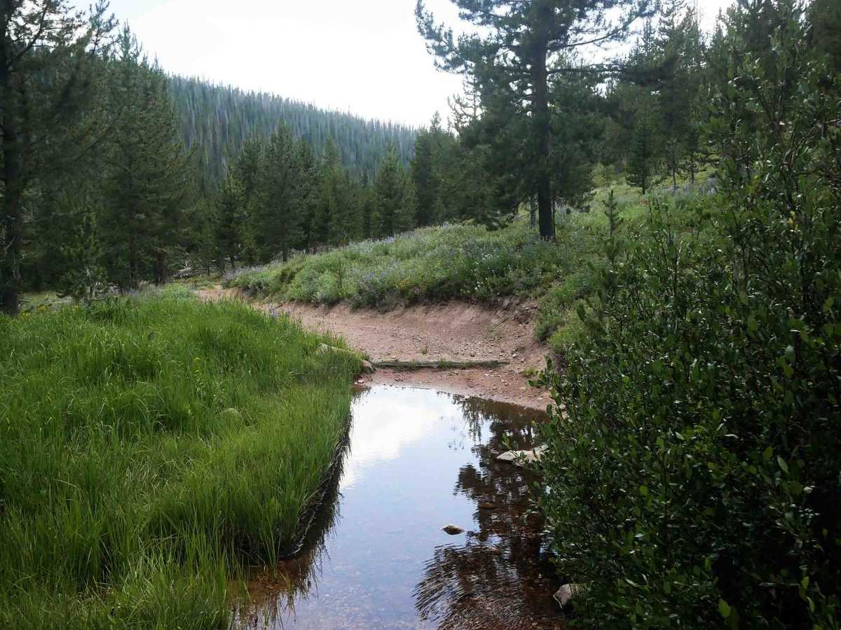 Hare Trail photo 4