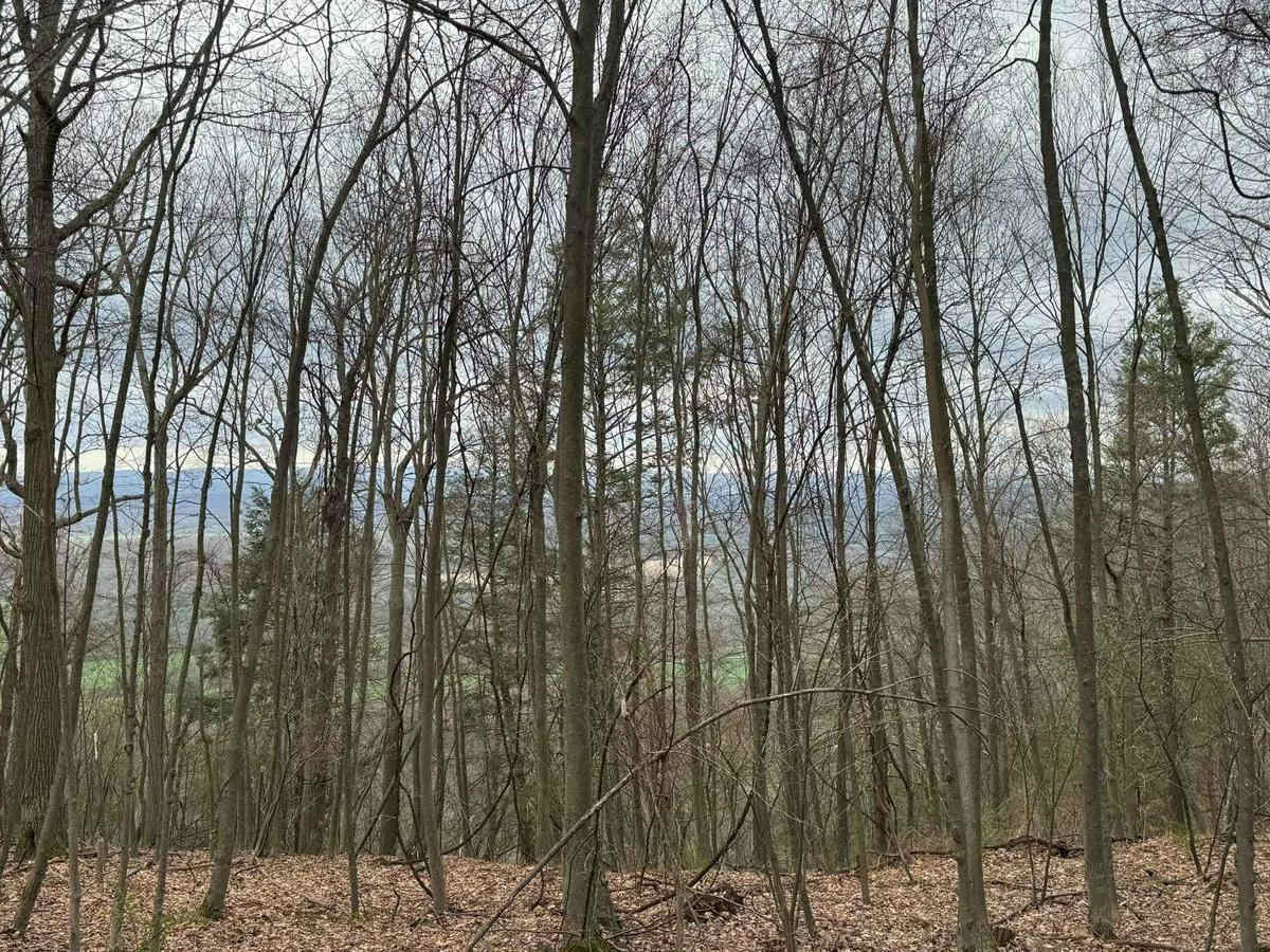 Kepler Road photo 2