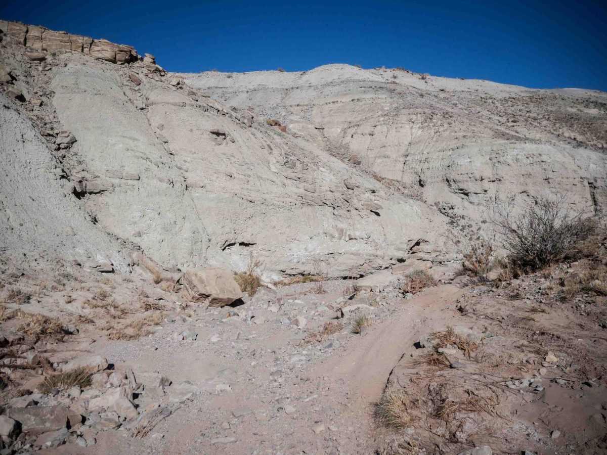 Neversweat Wash South photo 3