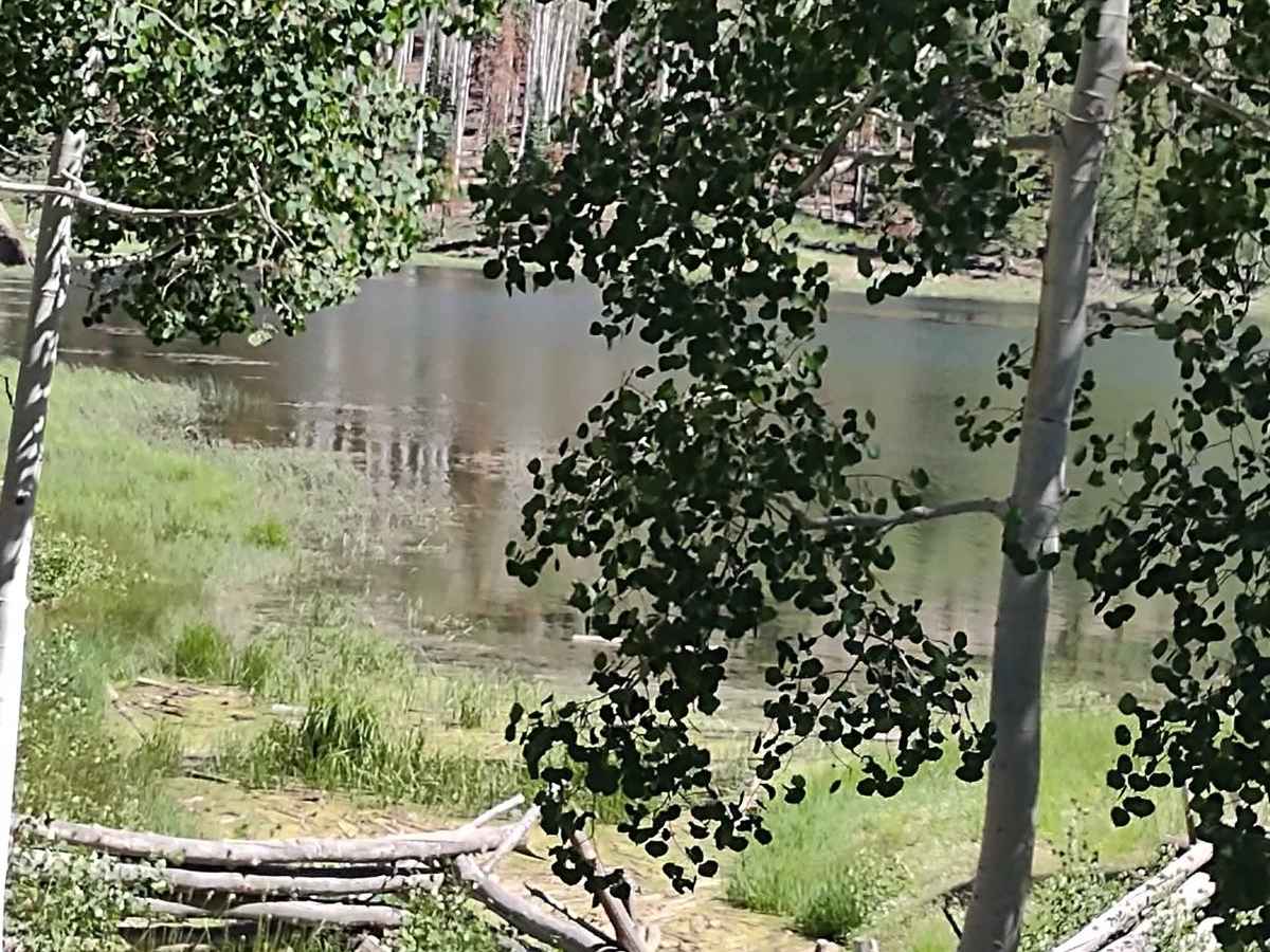 Kent's Lakes to LeBaron Lake (FS 40137) photo 6