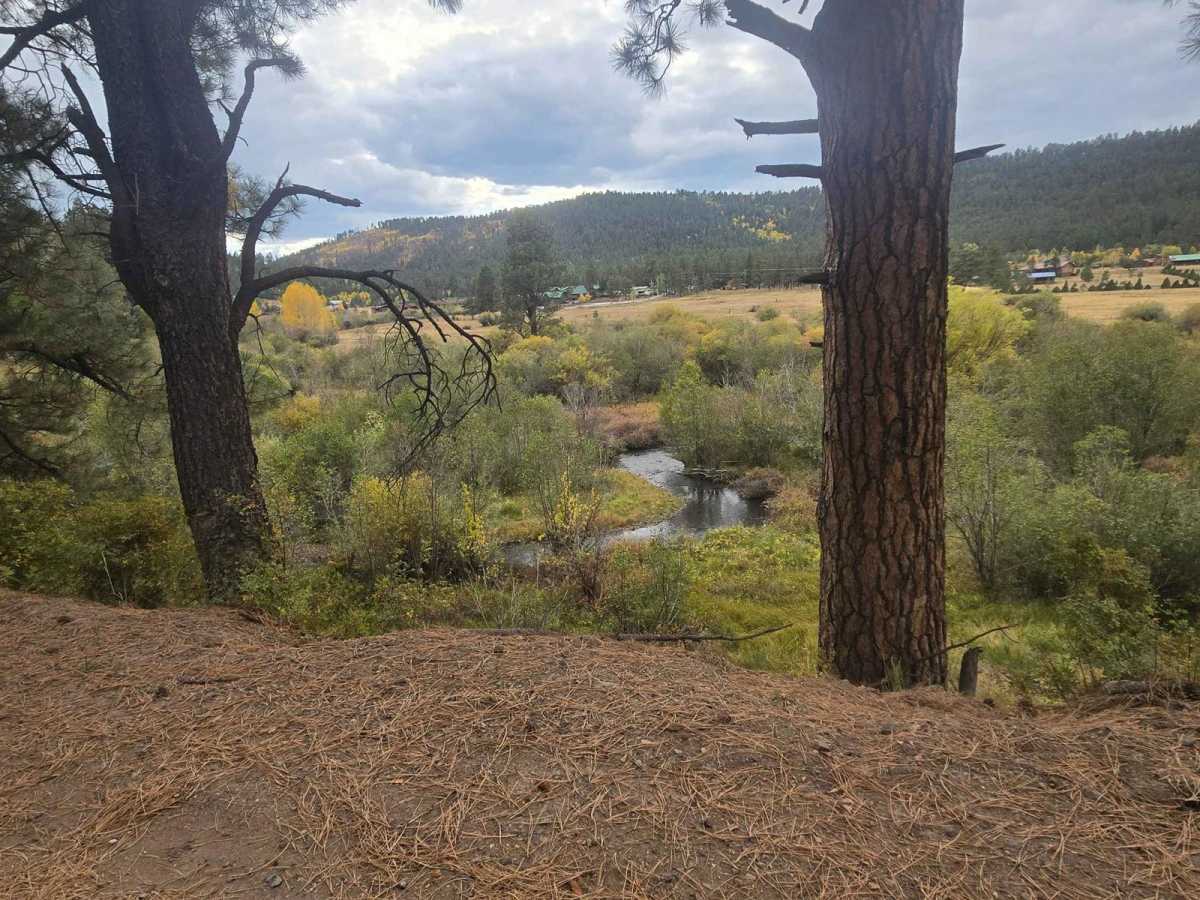 East Fork photo 5