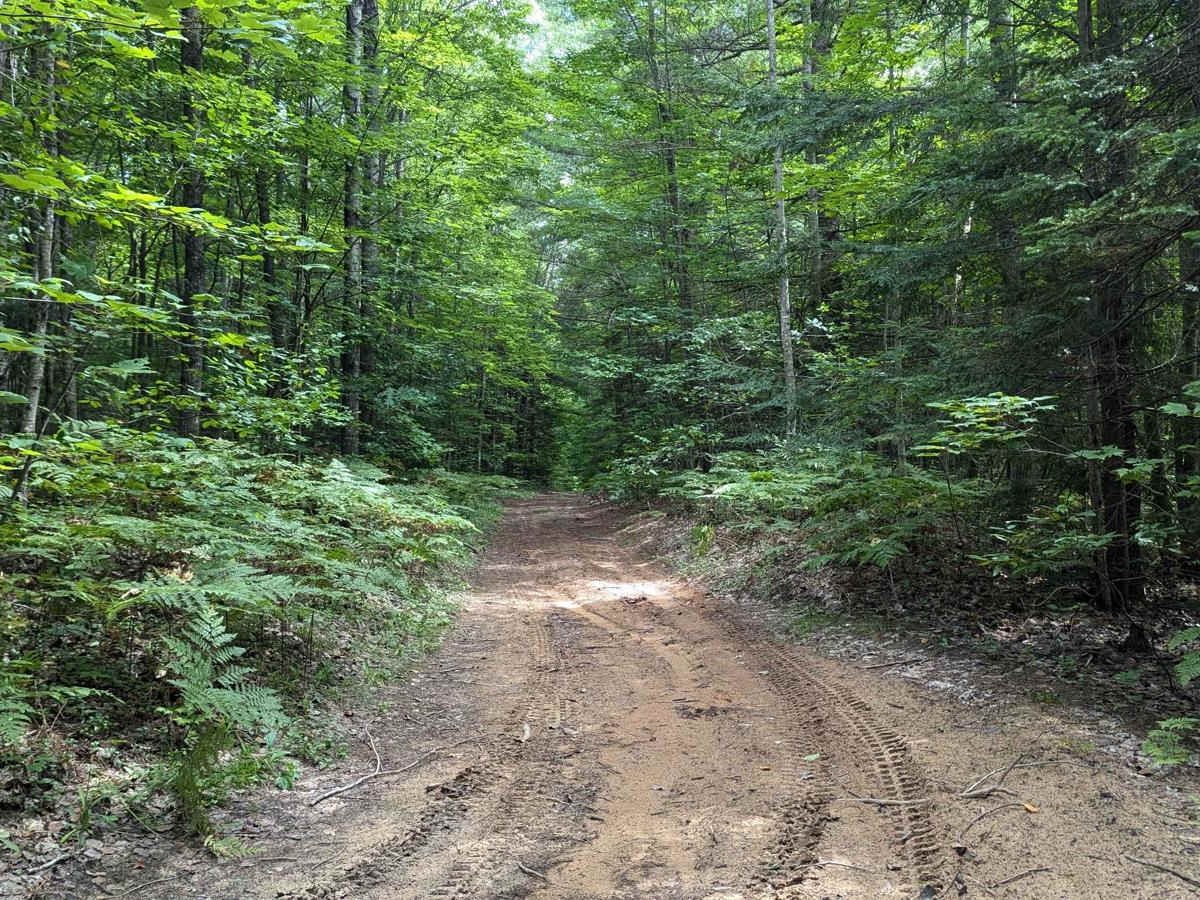 Brown Trail photo 6