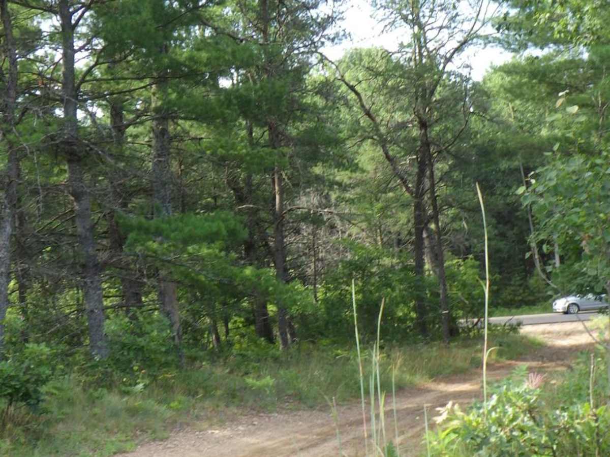 Hunt Creek West - MCCCT photo 4