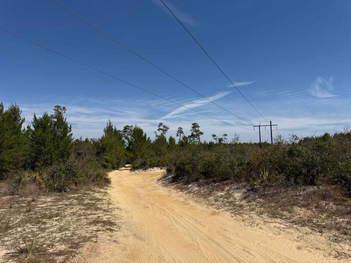 Neck - ONF 41 photo 5