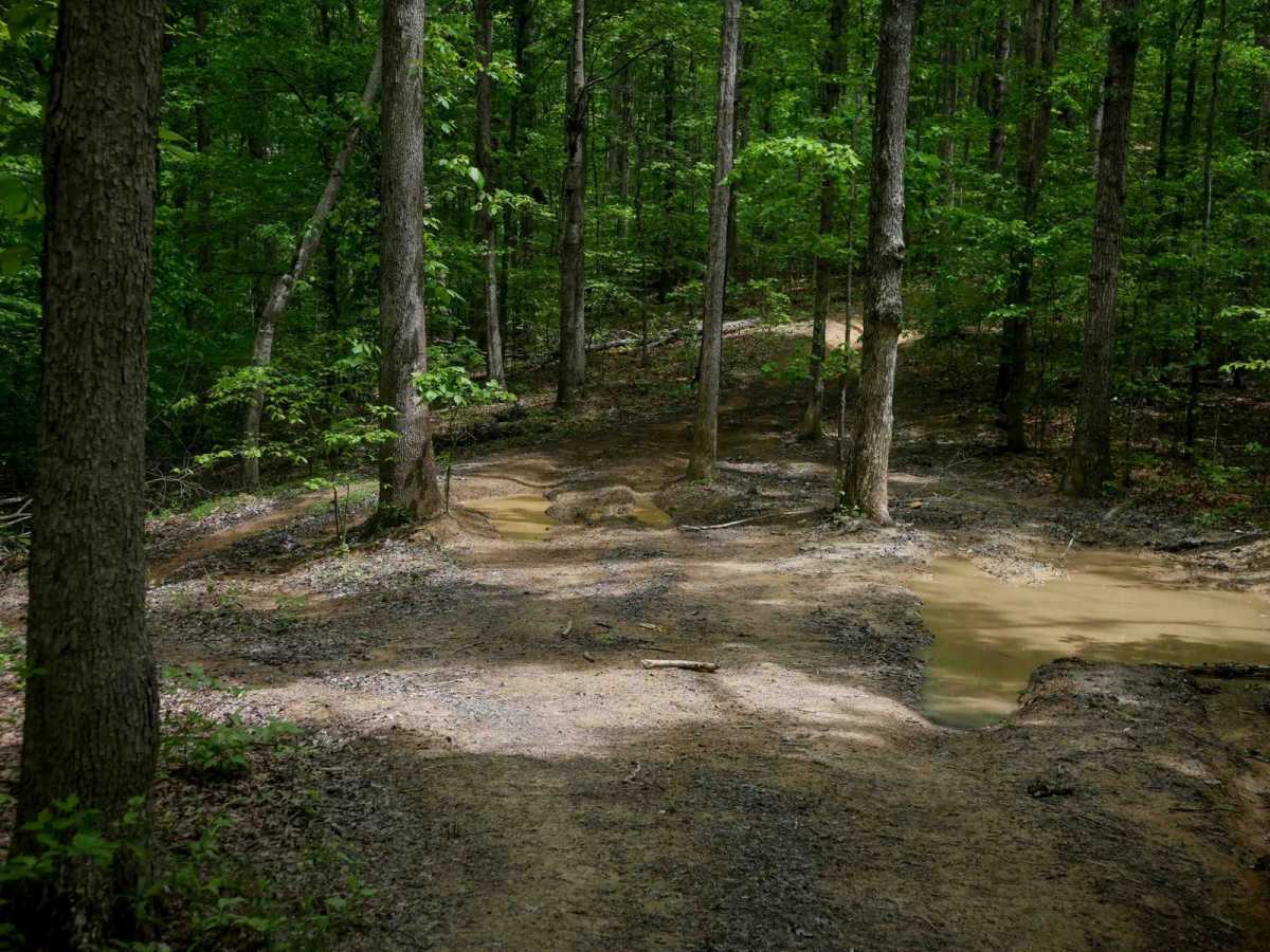 IB 72 photo 6