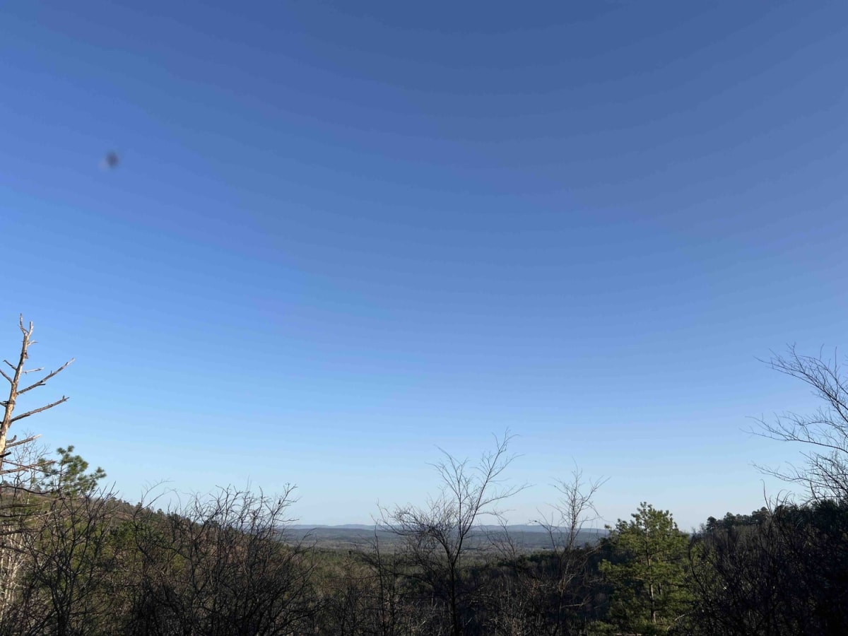 Sims Fiddler Creek 274 photo 4