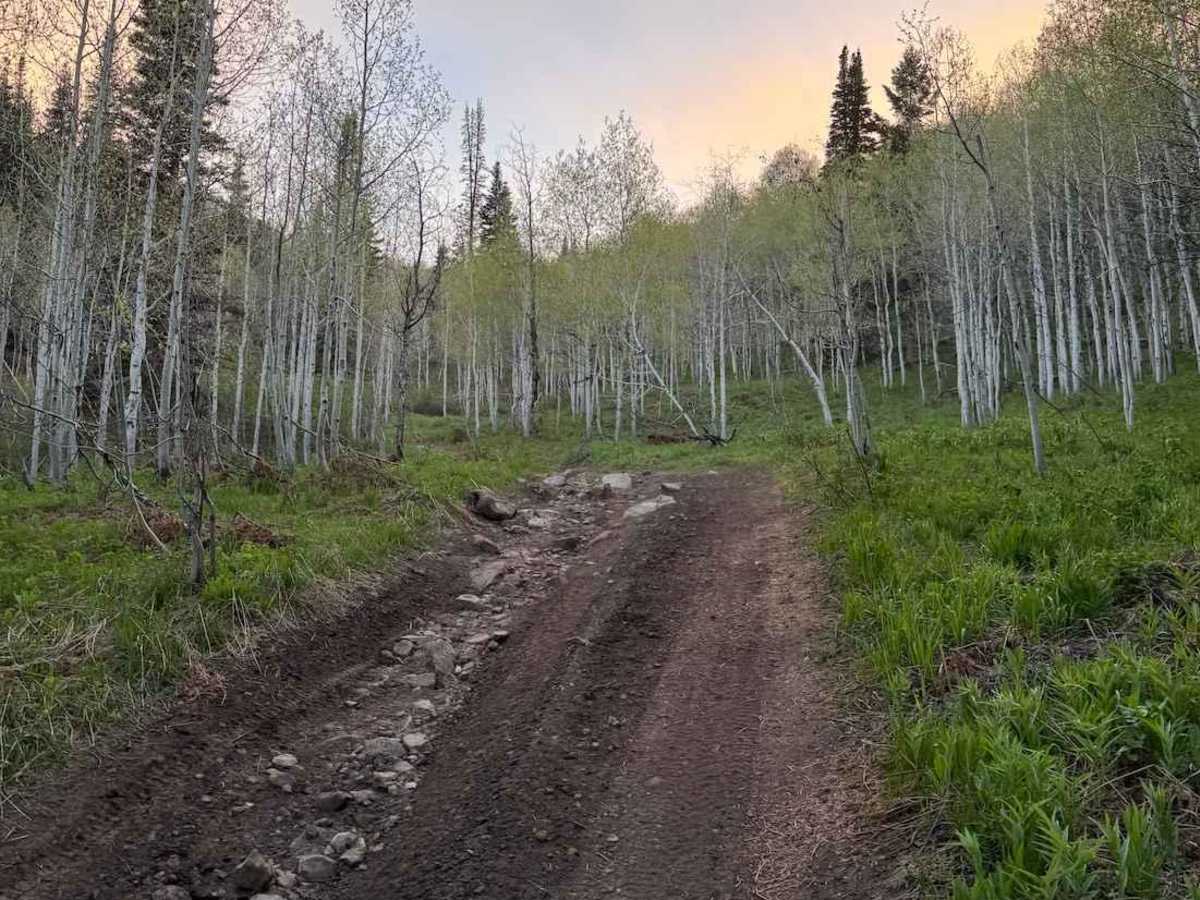 Rattlesnake Hill photo 2