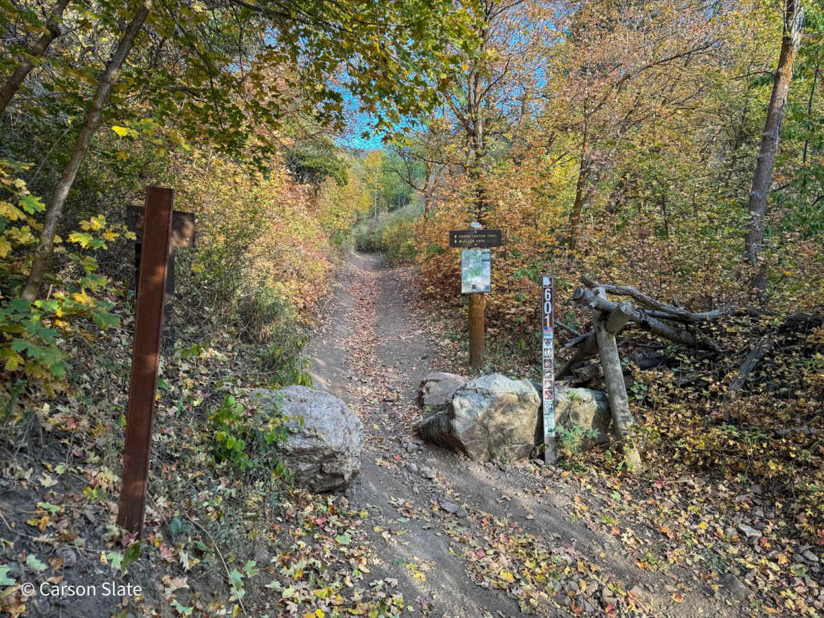 North Park photo 2