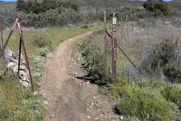 Spur Meadow