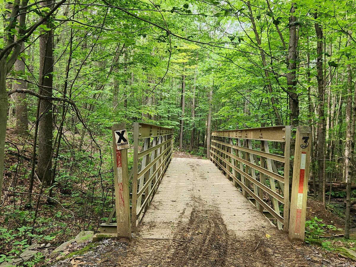 Trail 1 - Rock Run Recreation Area photo 6