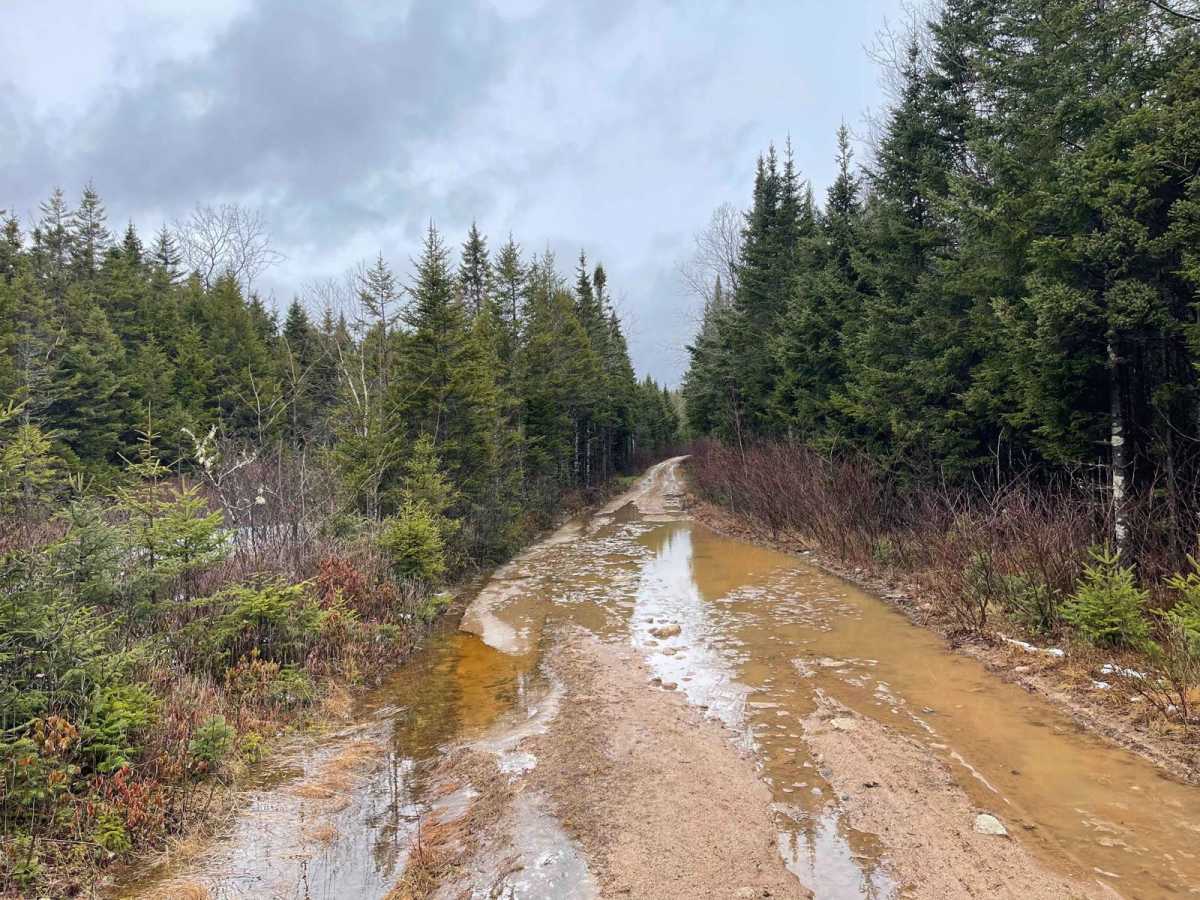 Two Mile Lake Road photo 4