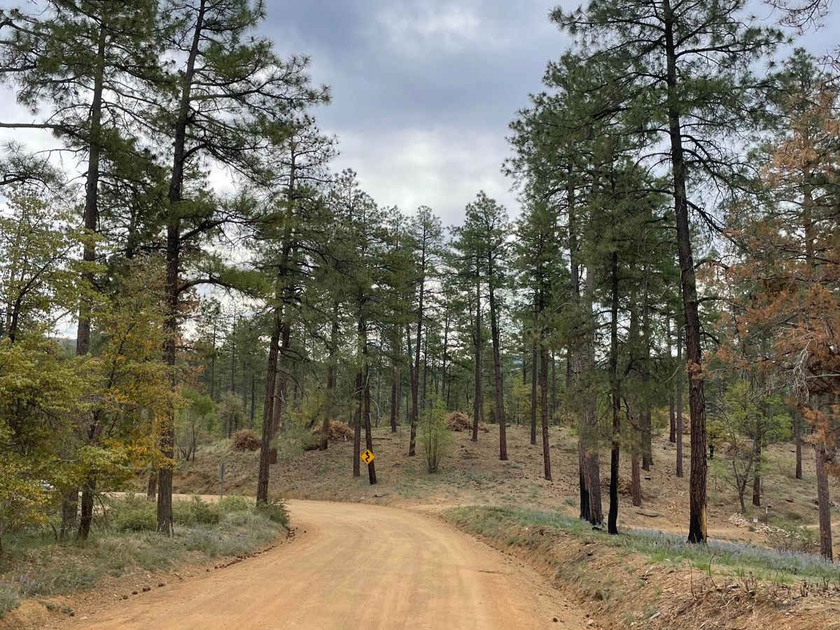 Wolf Creek to Senator Highway photo 3