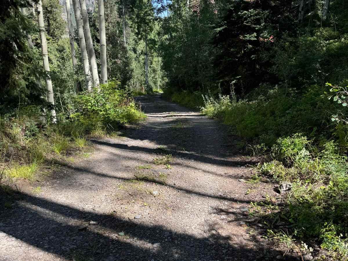 Cutler Mine trail photo