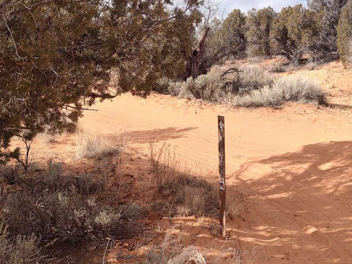 BLM 102H (Offshoot of White Tower Trail) photo 2