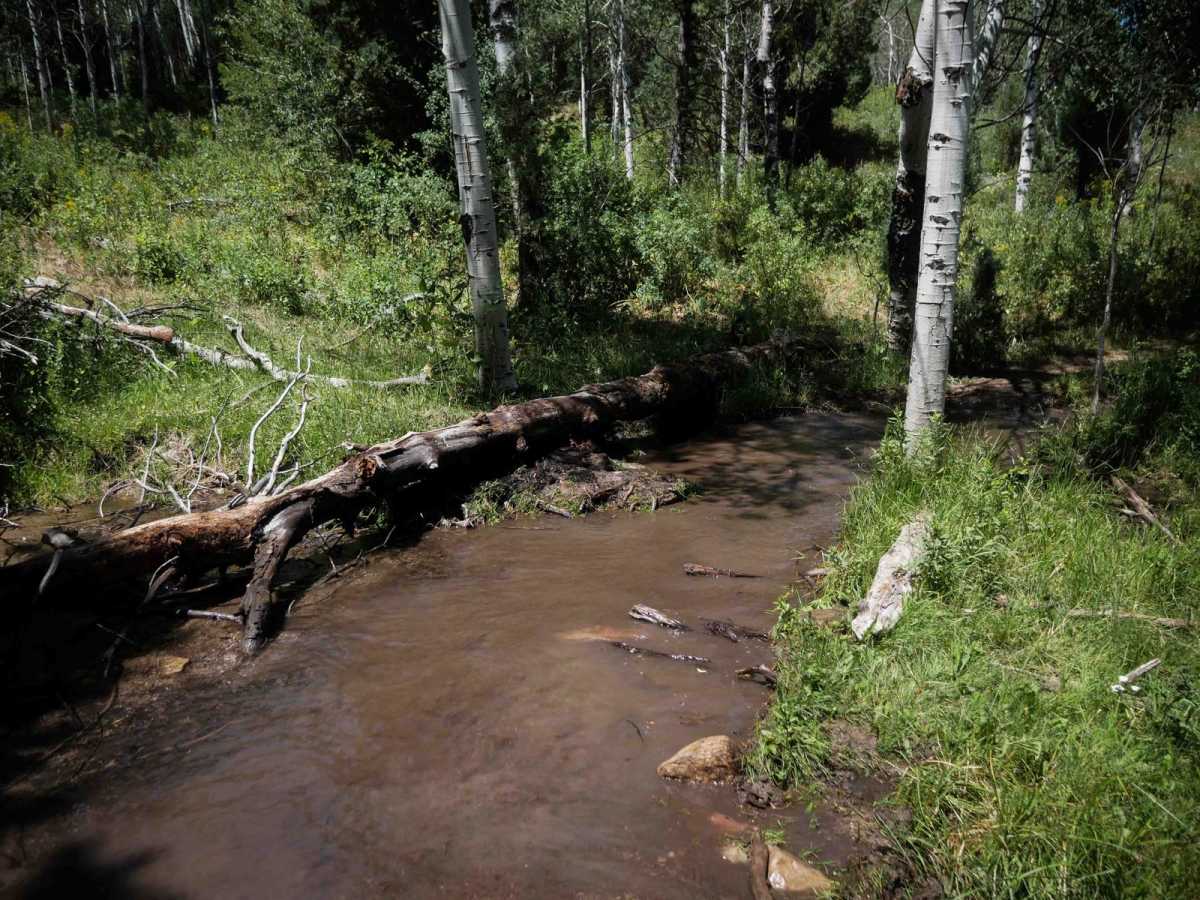Bailey Creek #3331 photo 2
