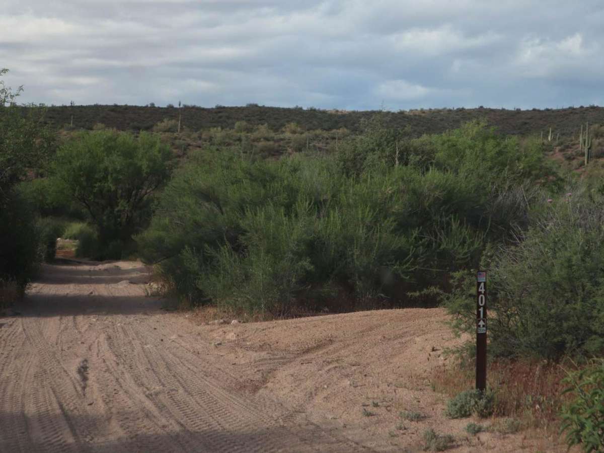 Cottonwood trail photo