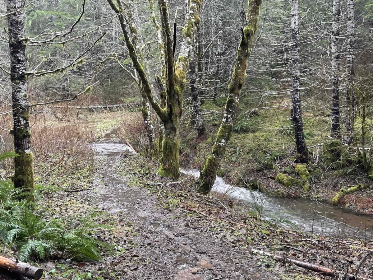 Bell Mountain Loop photo 2