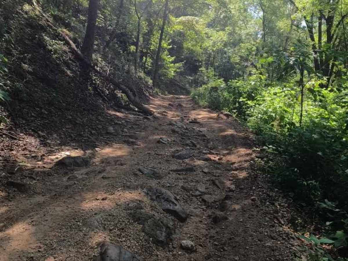 Dafron Hollow Trail photo 3