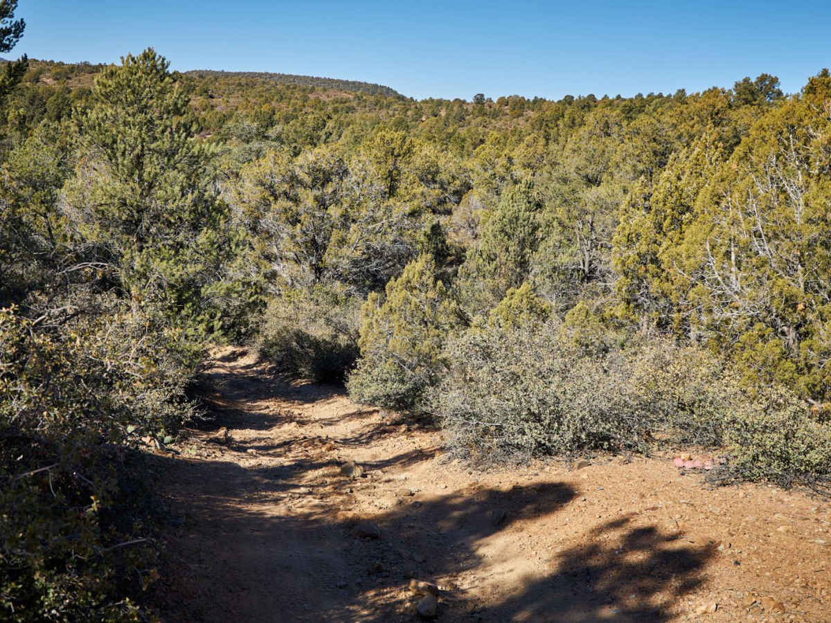 Brushy Basin photo 6