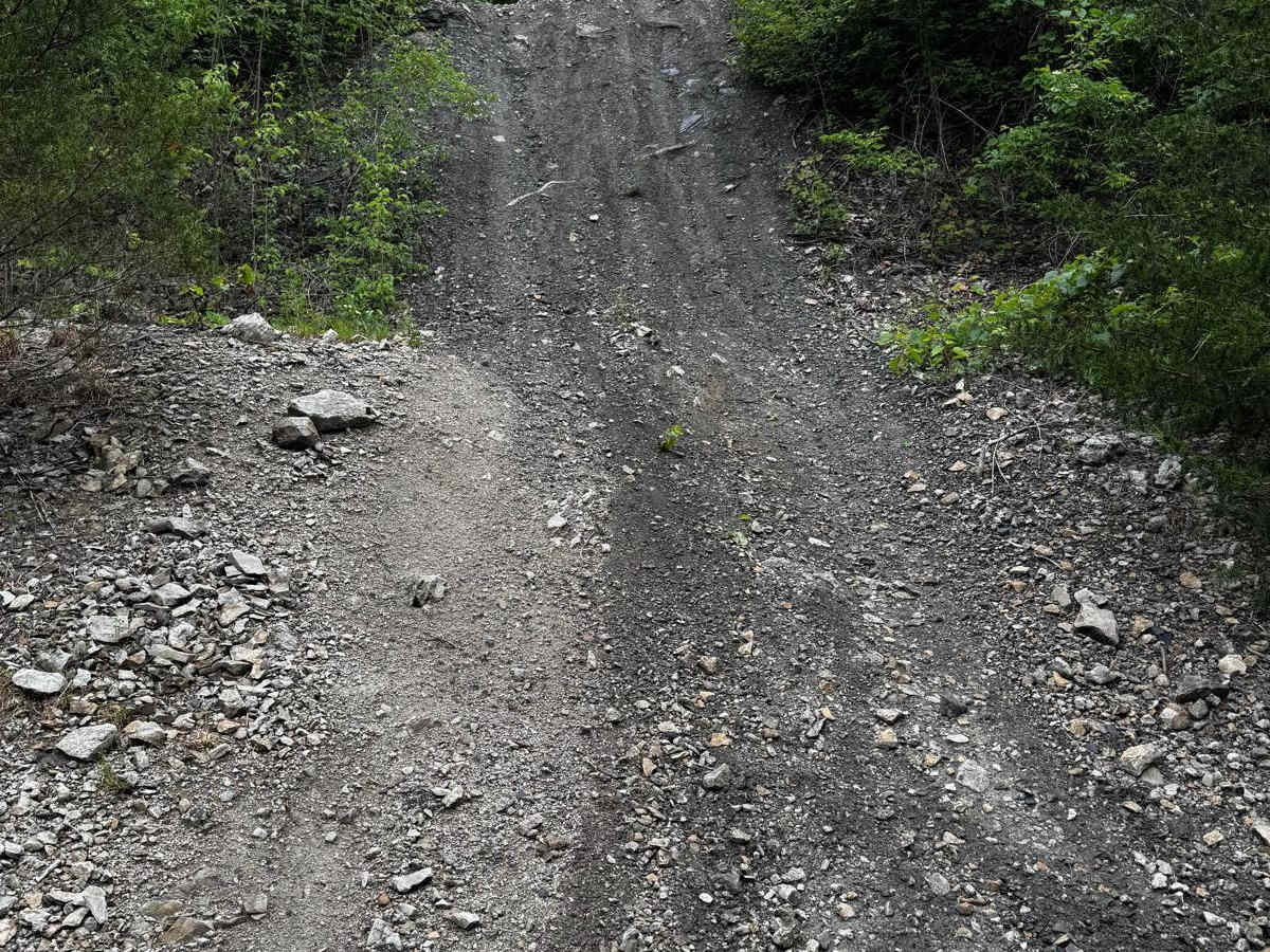 Red 167 photo 2
