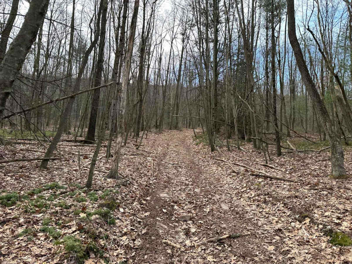 Tower City 10 trail photo