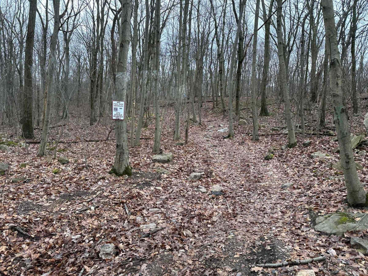 ATV Trail 75 photo 2